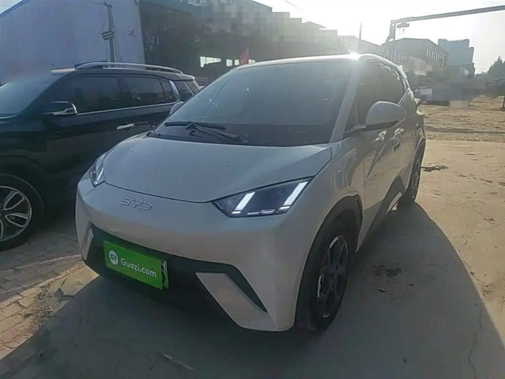 BYD Seagull 2024