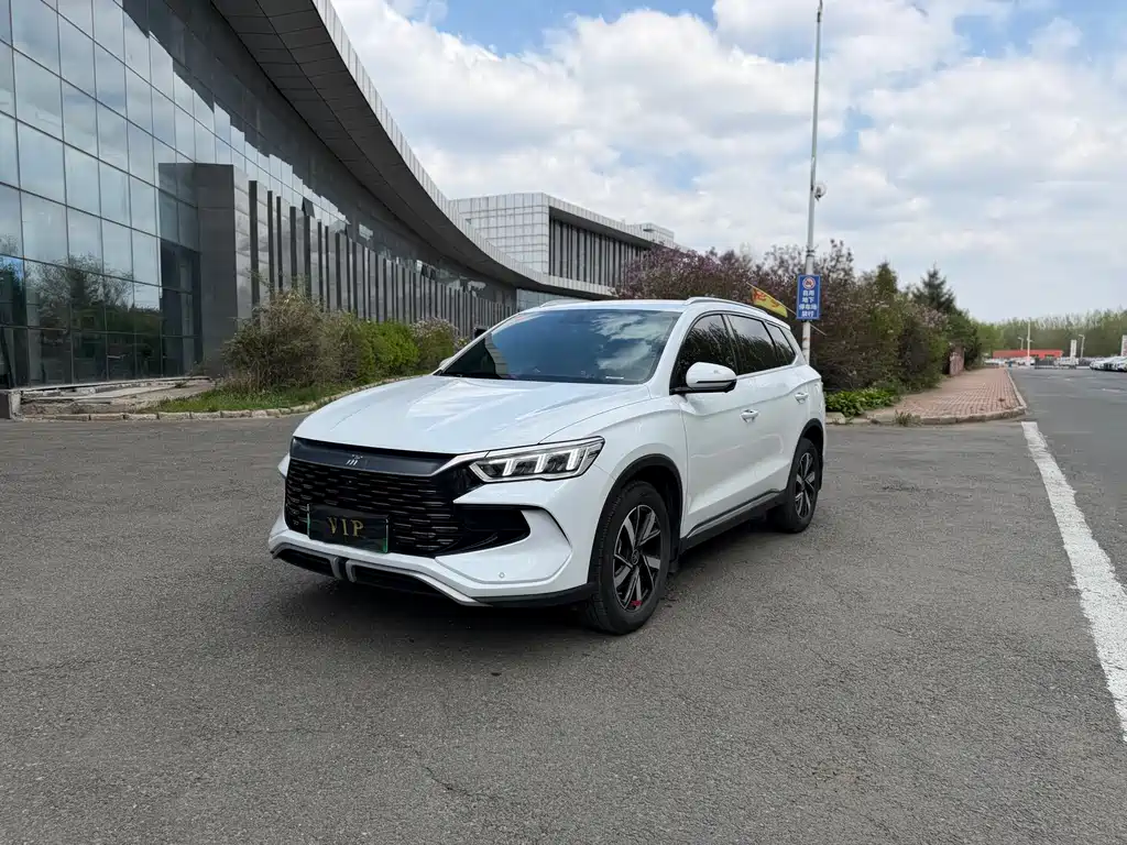 BYD Pro New Energy 2024