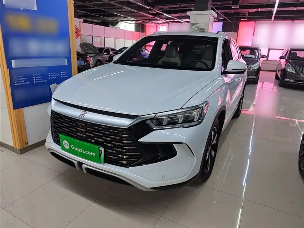 BYD Pro New Energy 2024