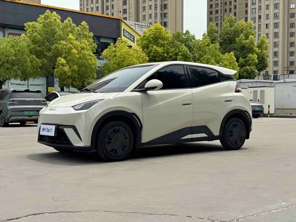 BYD Seagull 2024