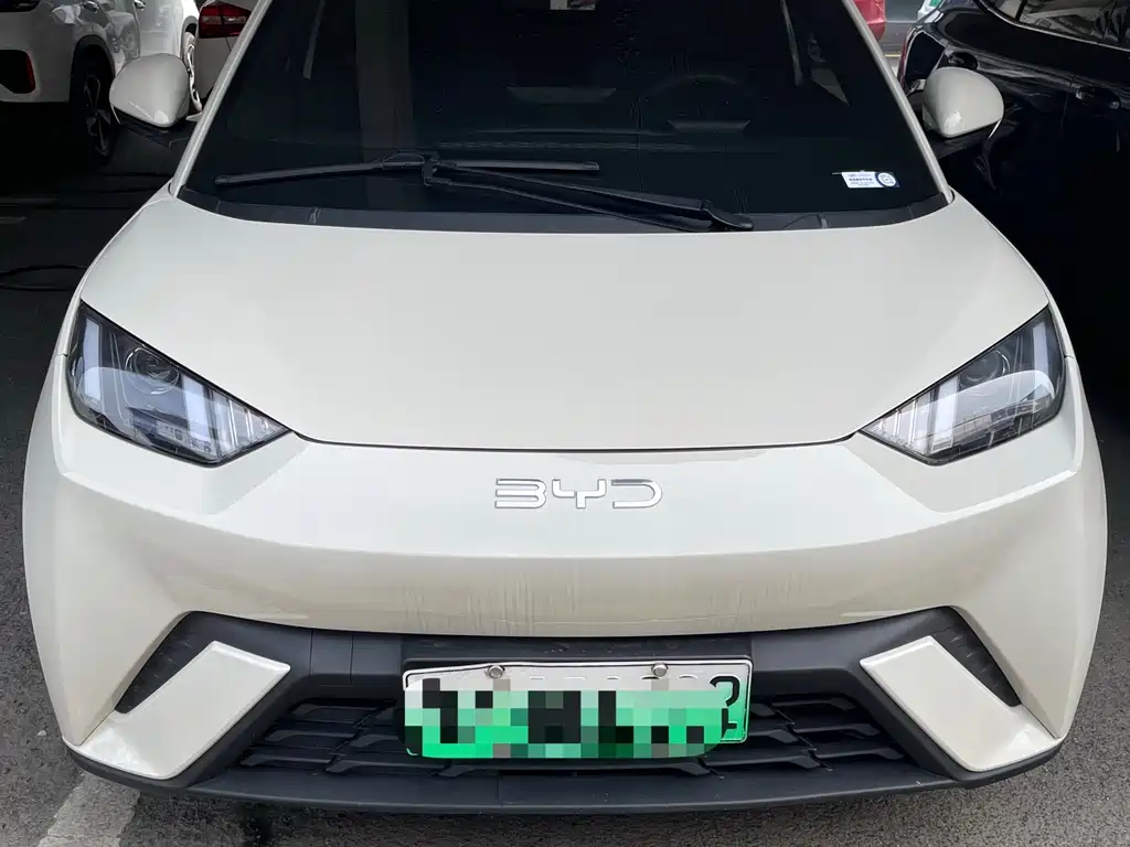 BYD Seagull 2024