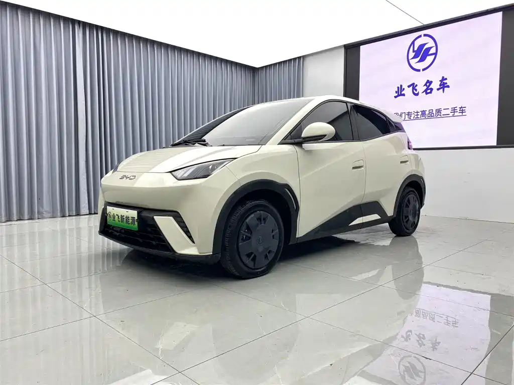 BYD Seagull 2025