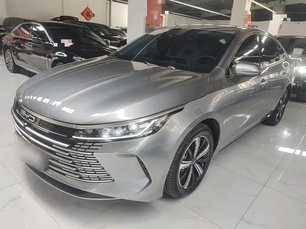 BYD Destroyer 05 2024