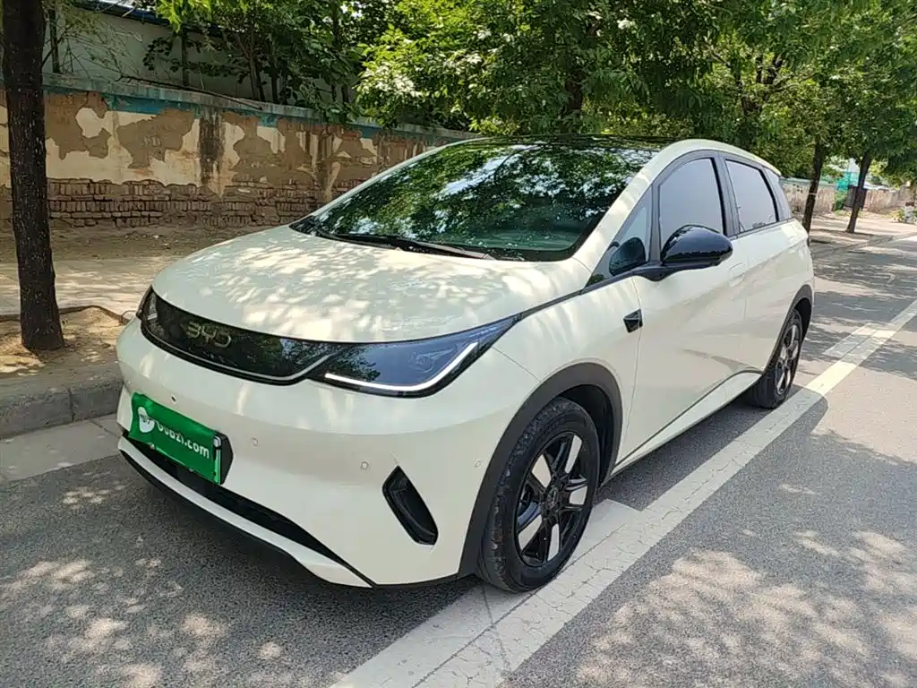 BYD Dolphin 2025