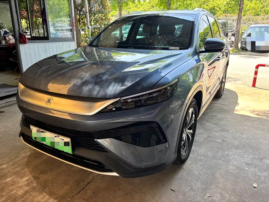 BYD Pro New Energy 2025