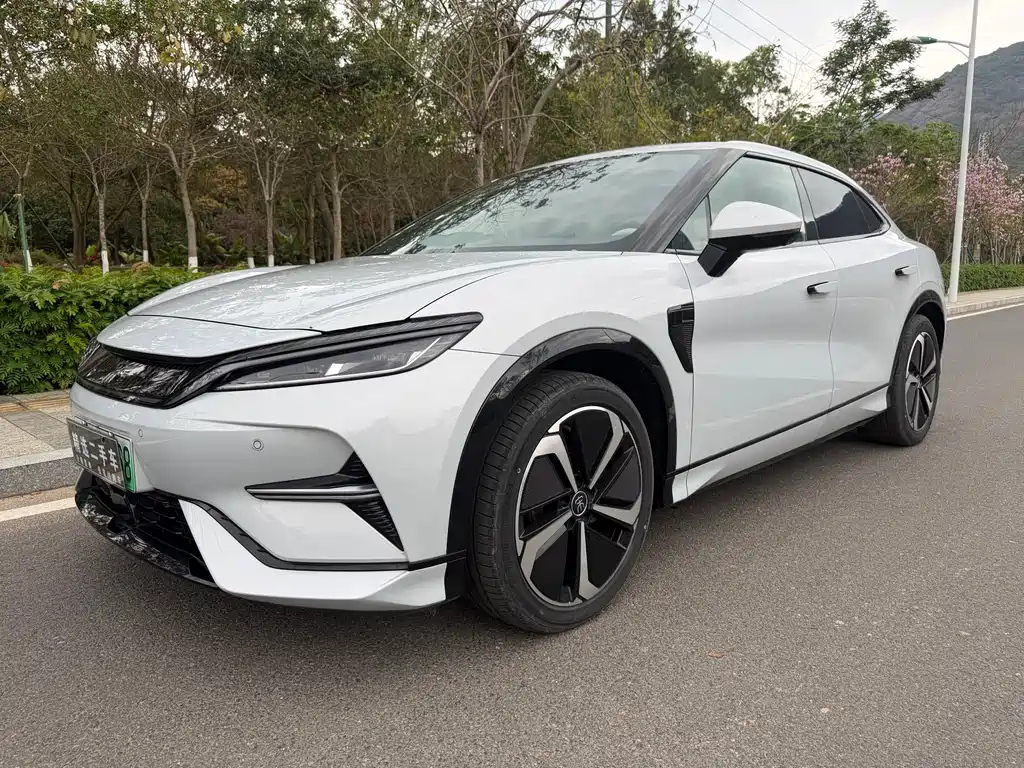 BYD L EV 2024
