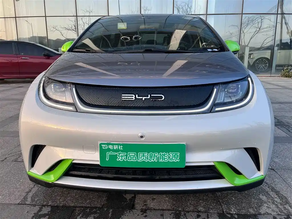 BYD Dolphin 2021