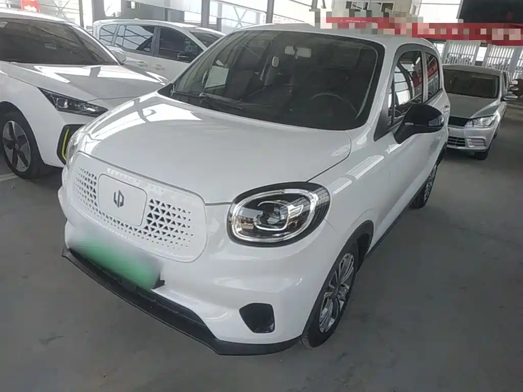 Leapmotor Leapmotor T03 2021