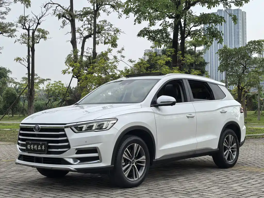 BYD Pro 2020