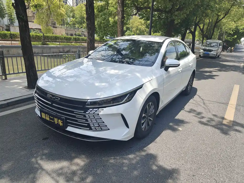 BYD Destroyer 05 2024