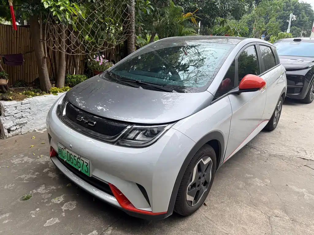BYD Dolphin 2021