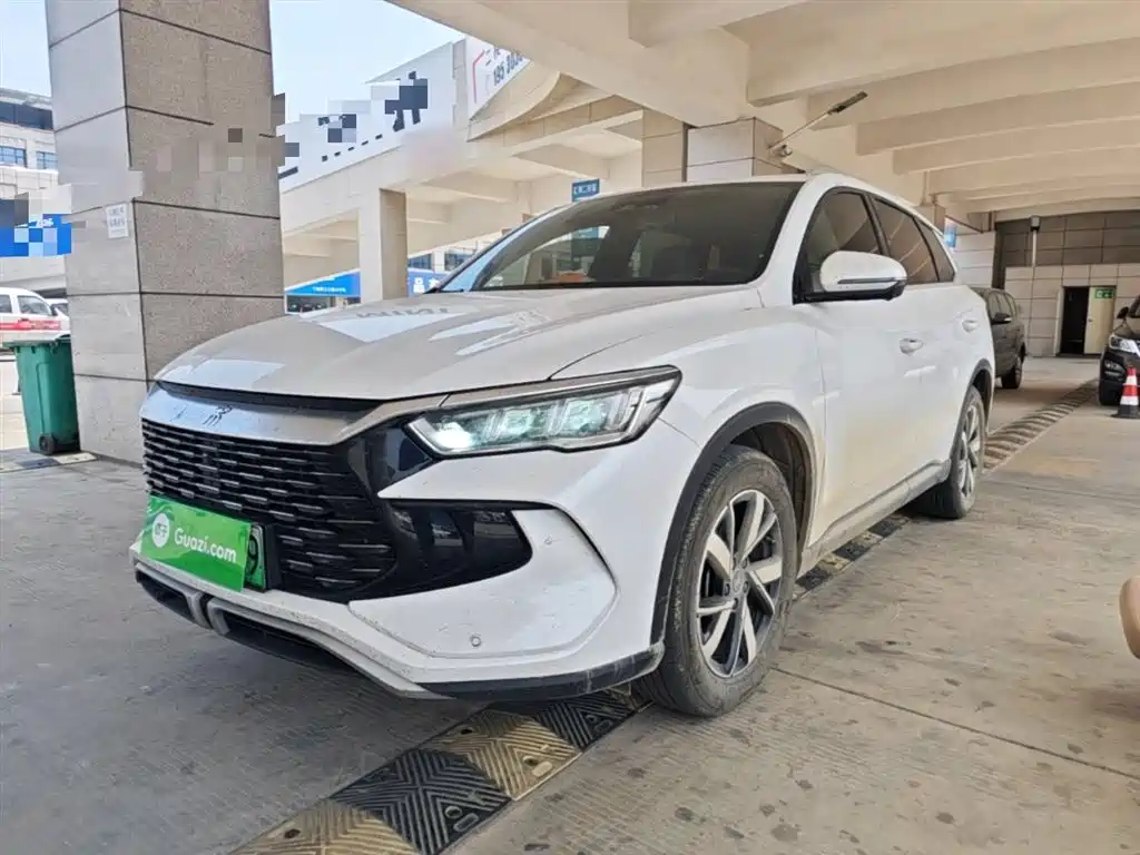 BYD Pro New Energy 2025