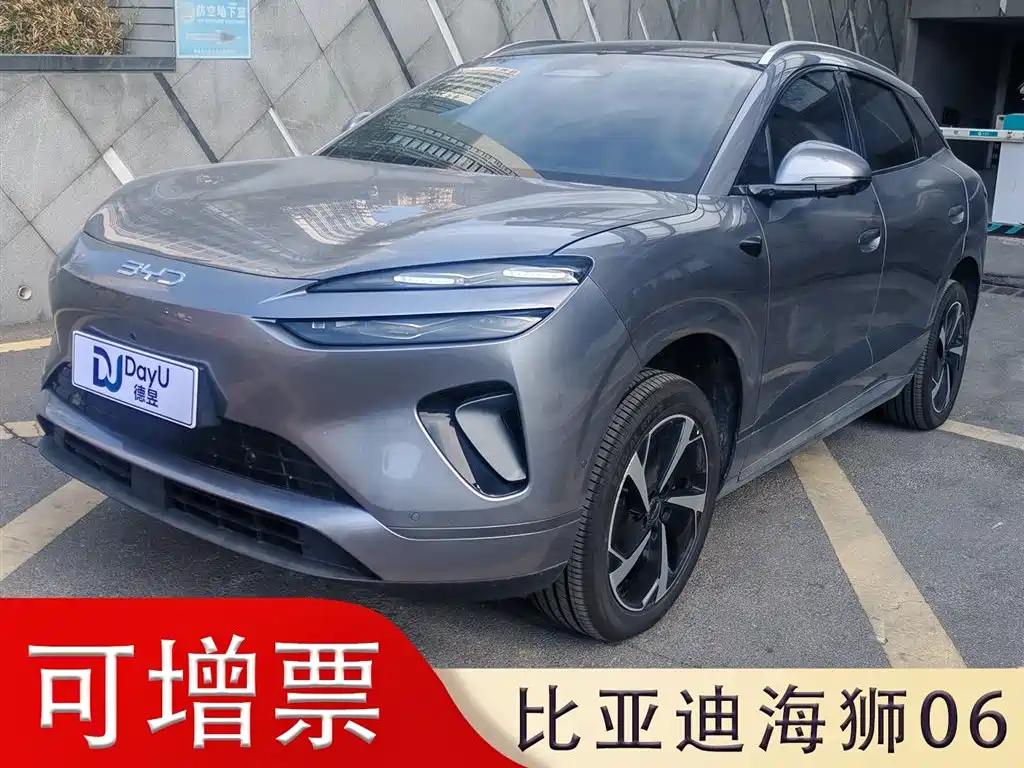 BYD 海狮06 2025