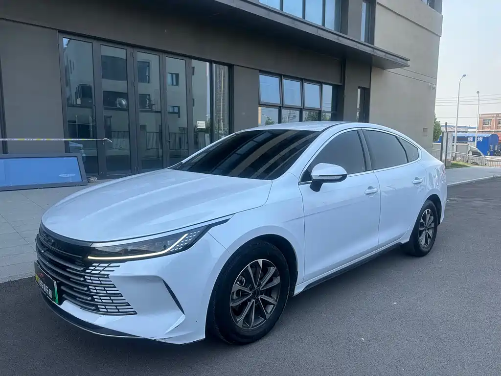 BYD Destroyer 05 2024