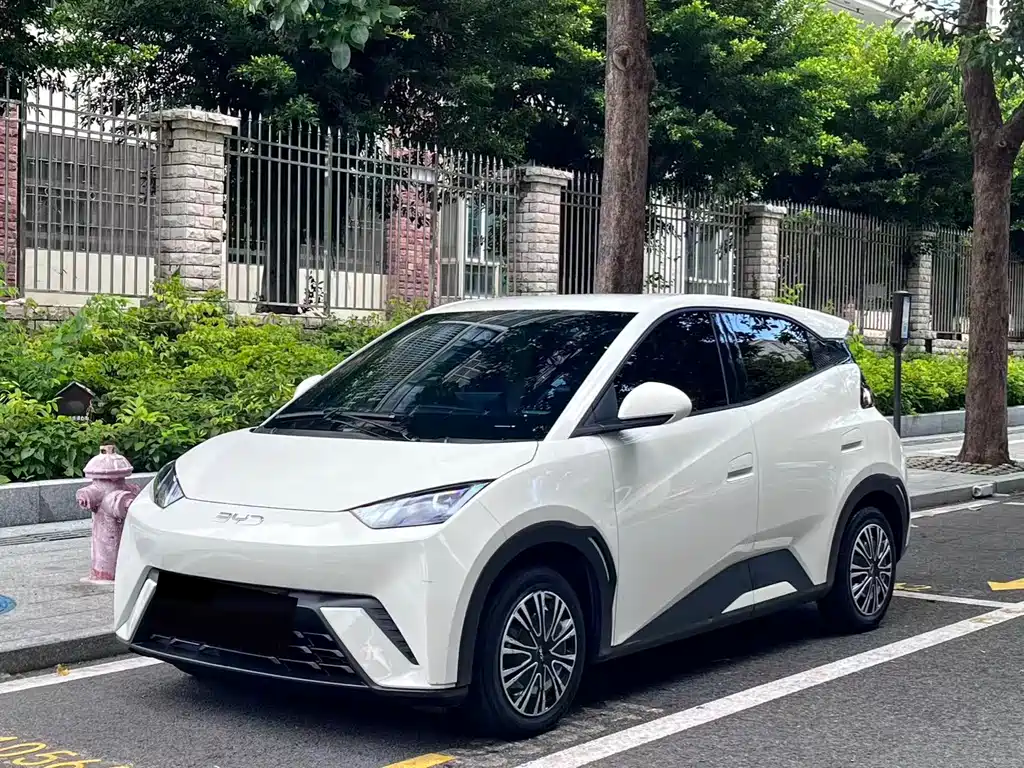 BYD Seagull 2024