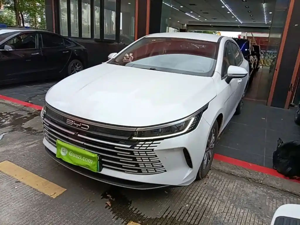 BYD Destroyer 05 2024