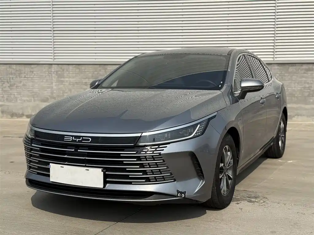 BYD Destroyer 05 2024
