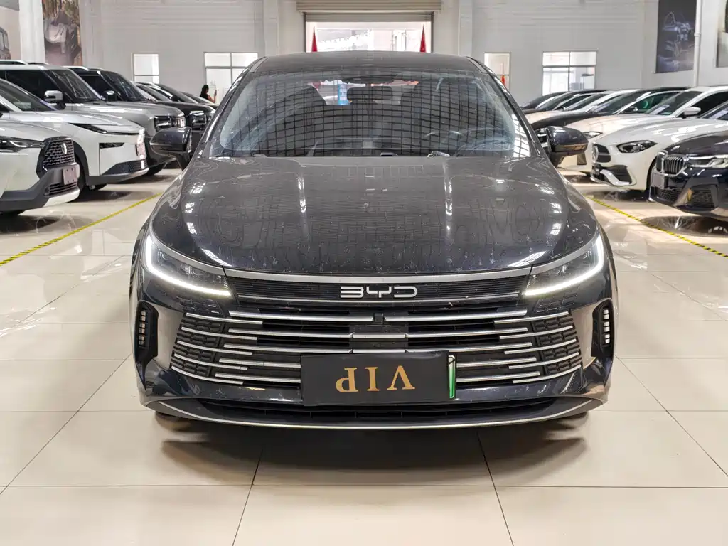 BYD Destroyer 05 2024