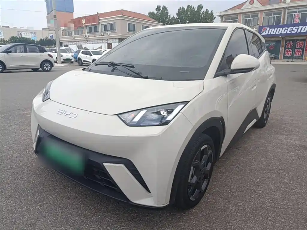 BYD Seagull 2024