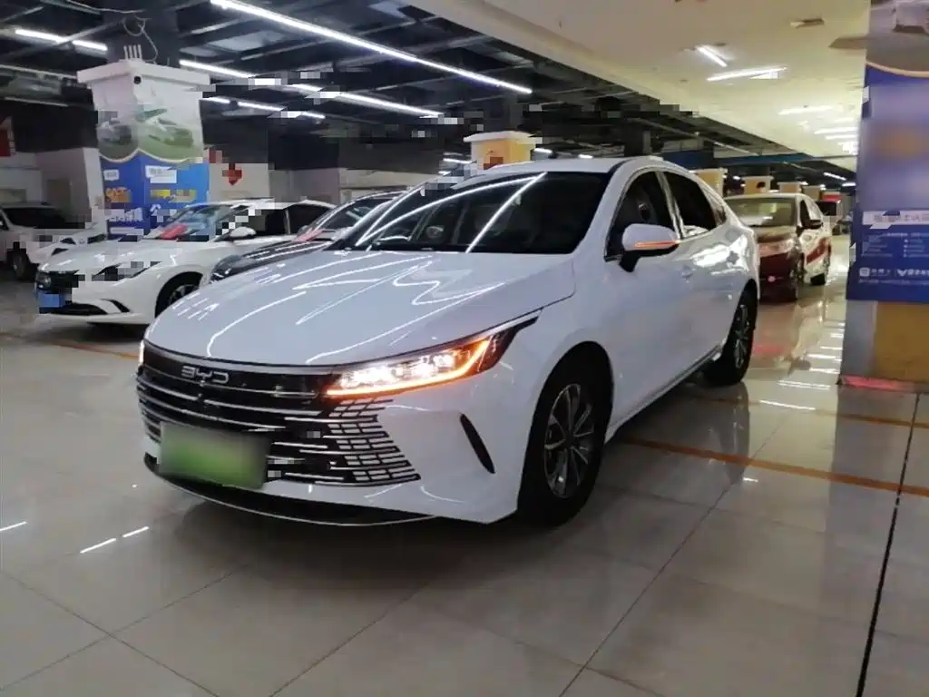 BYD Destroyer 05 2024