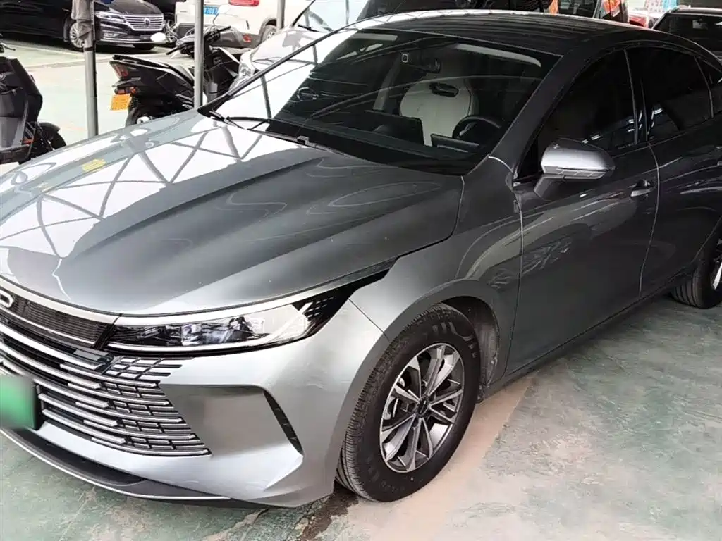 BYD Destroyer 05 2024