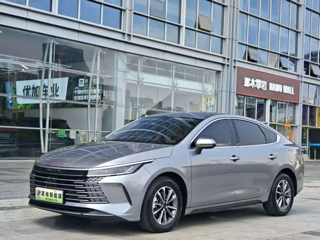 BYD Destroyer 05 2024