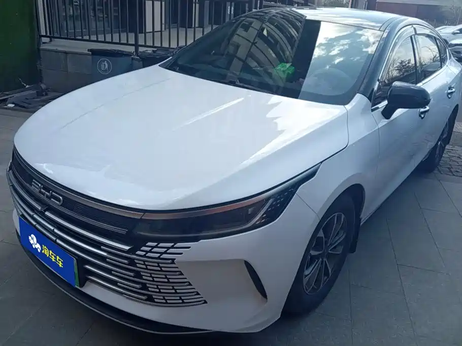 BYD Destroyer 05 2024