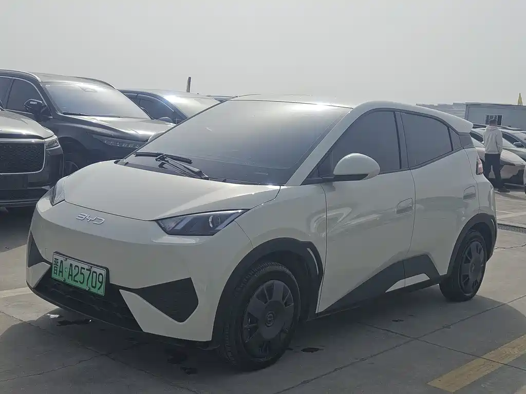 BYD Seagull 2025