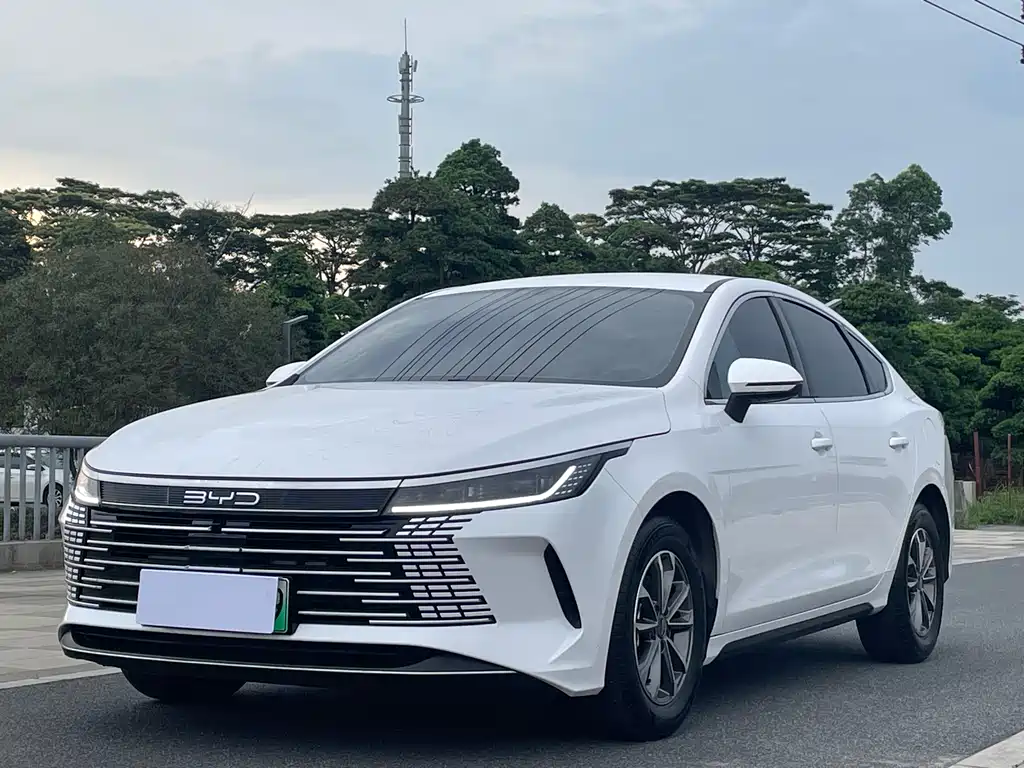 BYD Destroyer 05 2024