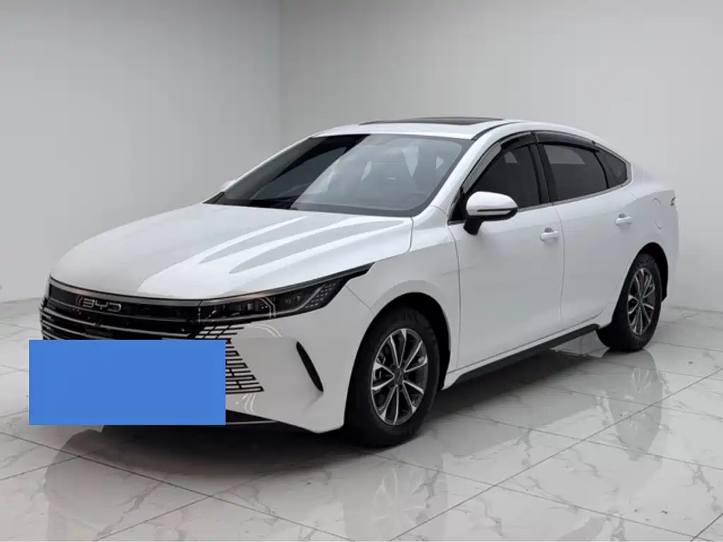 BYD Destroyer 05 2024