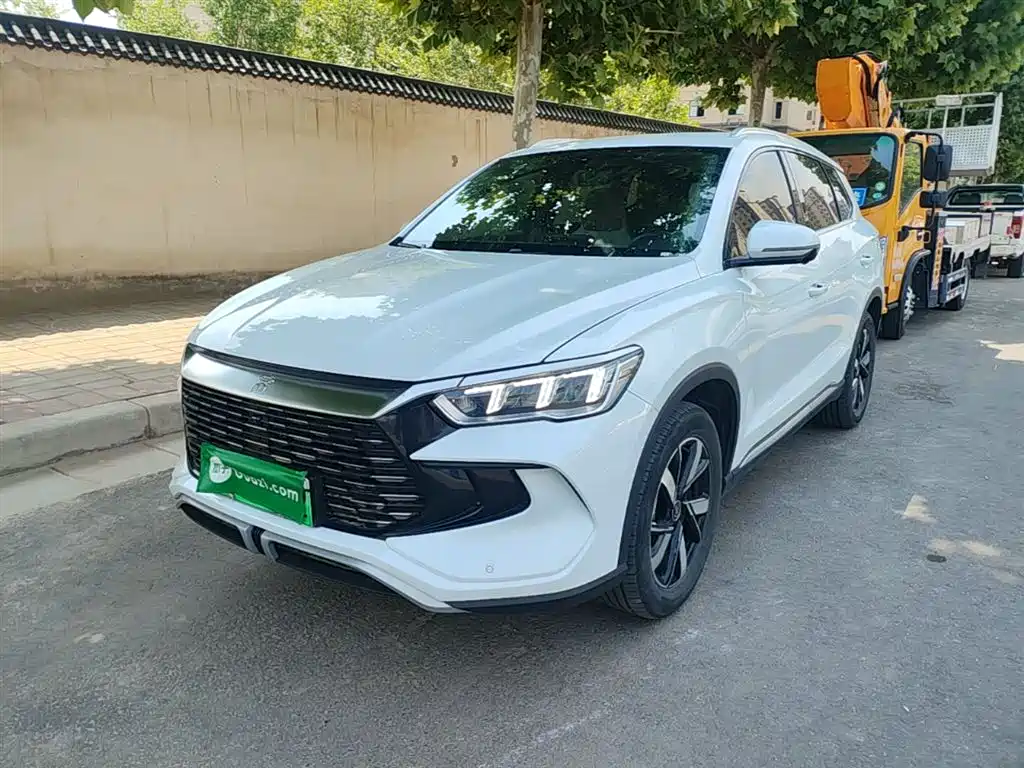 BYD Pro New Energy 2024