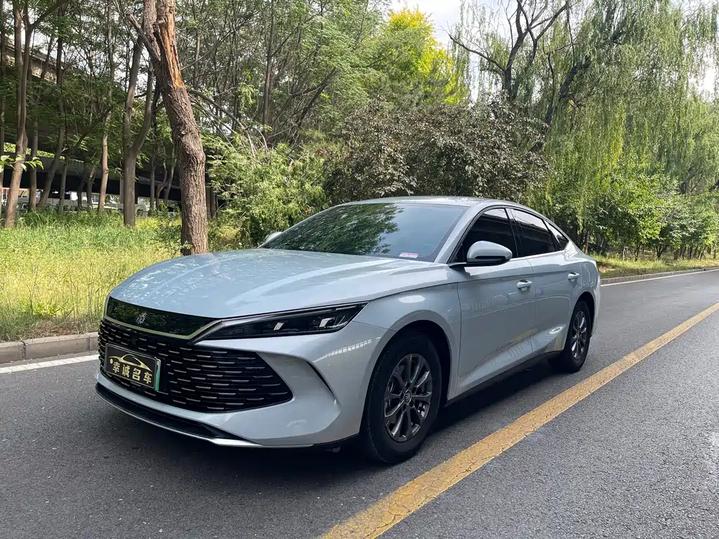 BYD Qin L 2024
