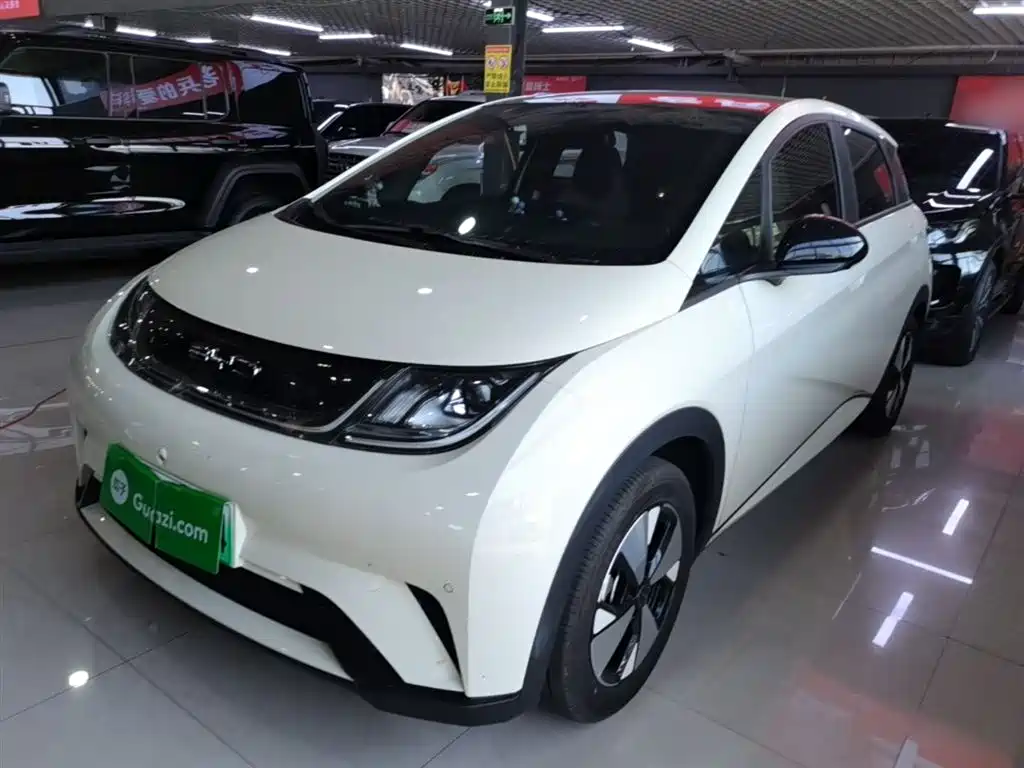 BYD Dolphin 2024