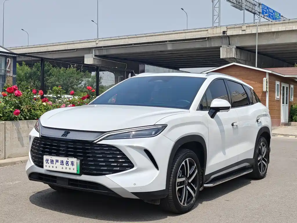 BYD L DM-i 2024