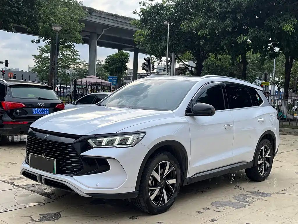 BYD Pro New Energy 2024