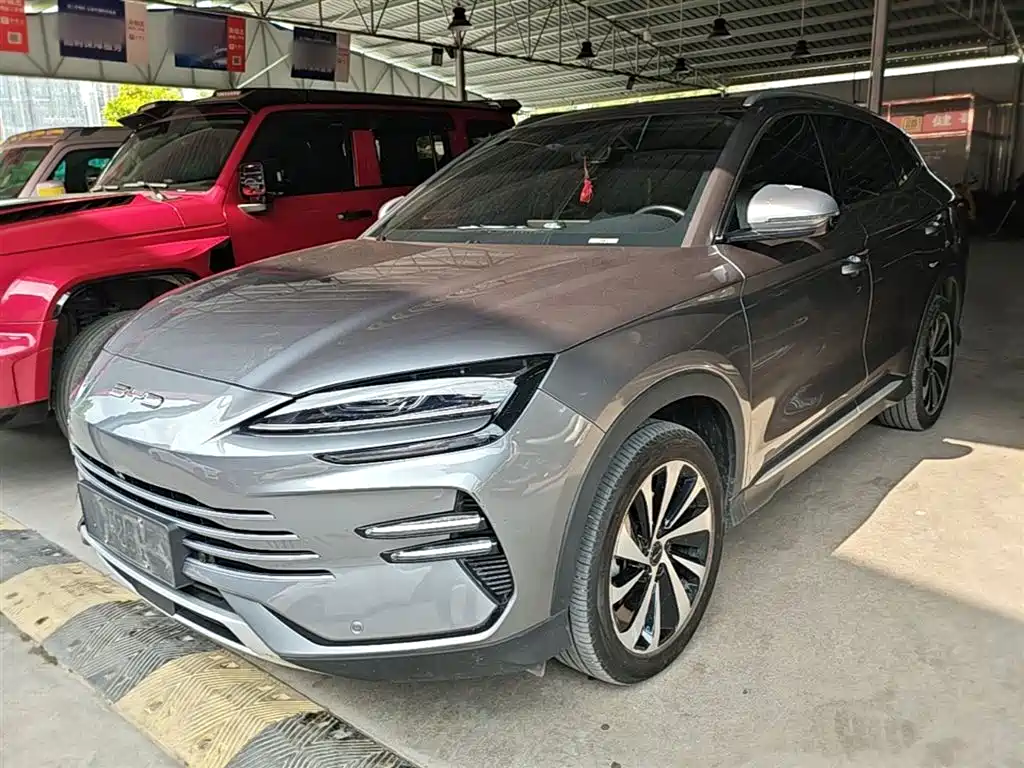 BYD PLUS New Energy 2024