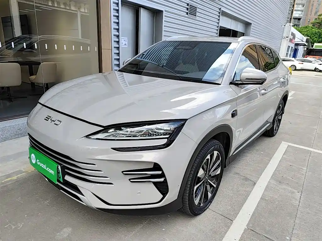BYD PLUS New Energy 2025