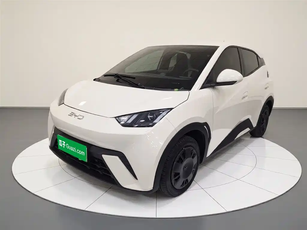 BYD Seagull 2025