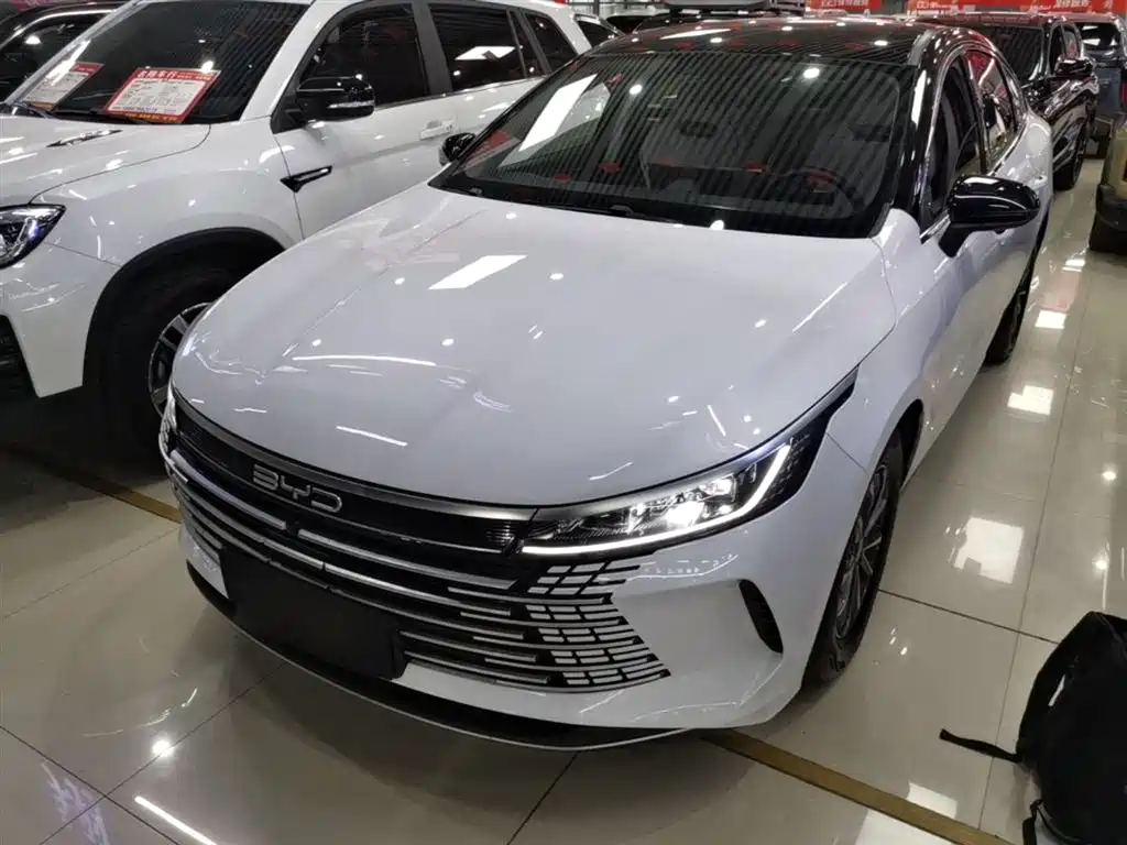 BYD Destroyer 05 2024
