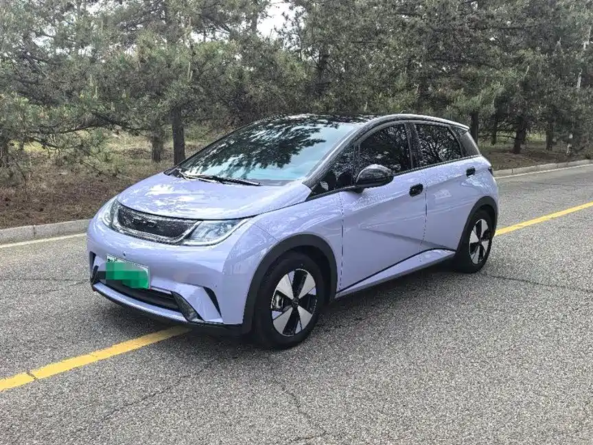 BYD Dolphin 2024