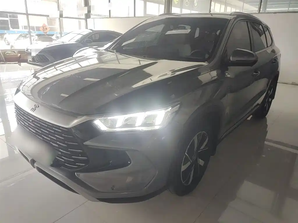BYD Pro New Energy 2025