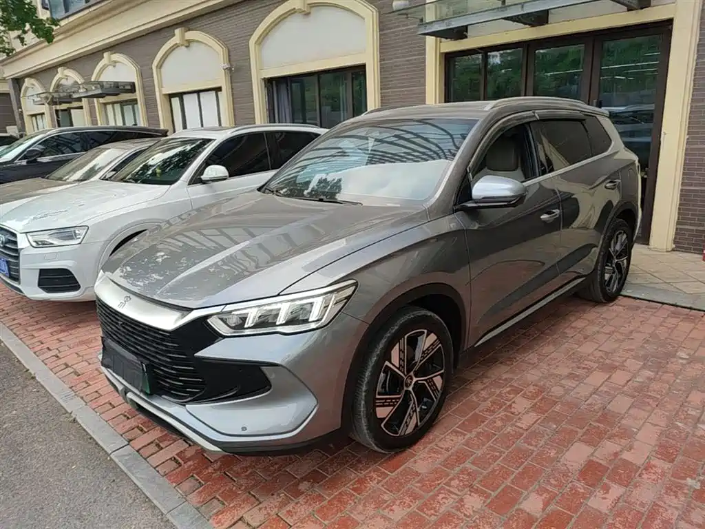 BYD Pro New Energy 2024