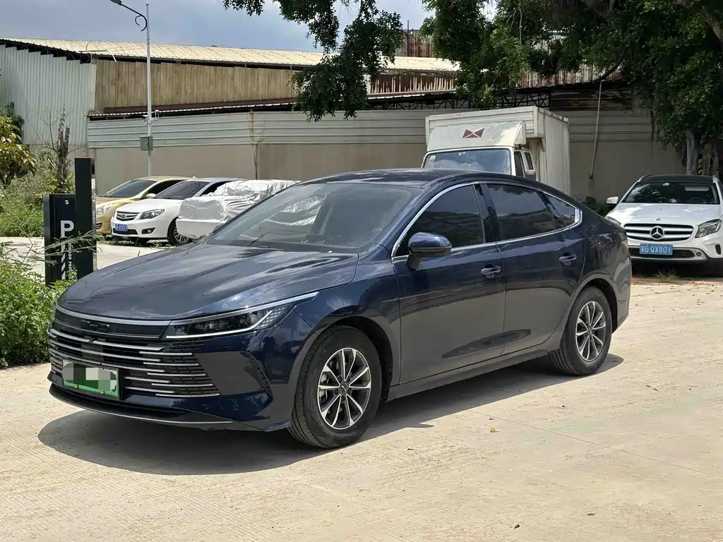 BYD Destroyer 05 2024