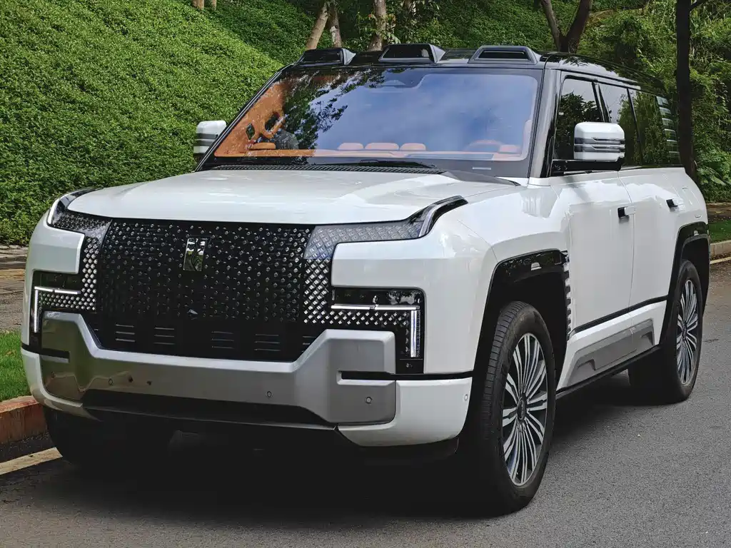 YangWang Yangwang U8 2024