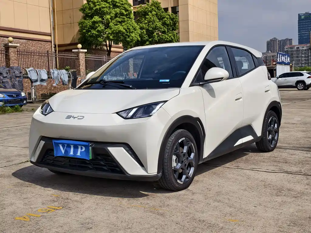 BYD Seagull 2024