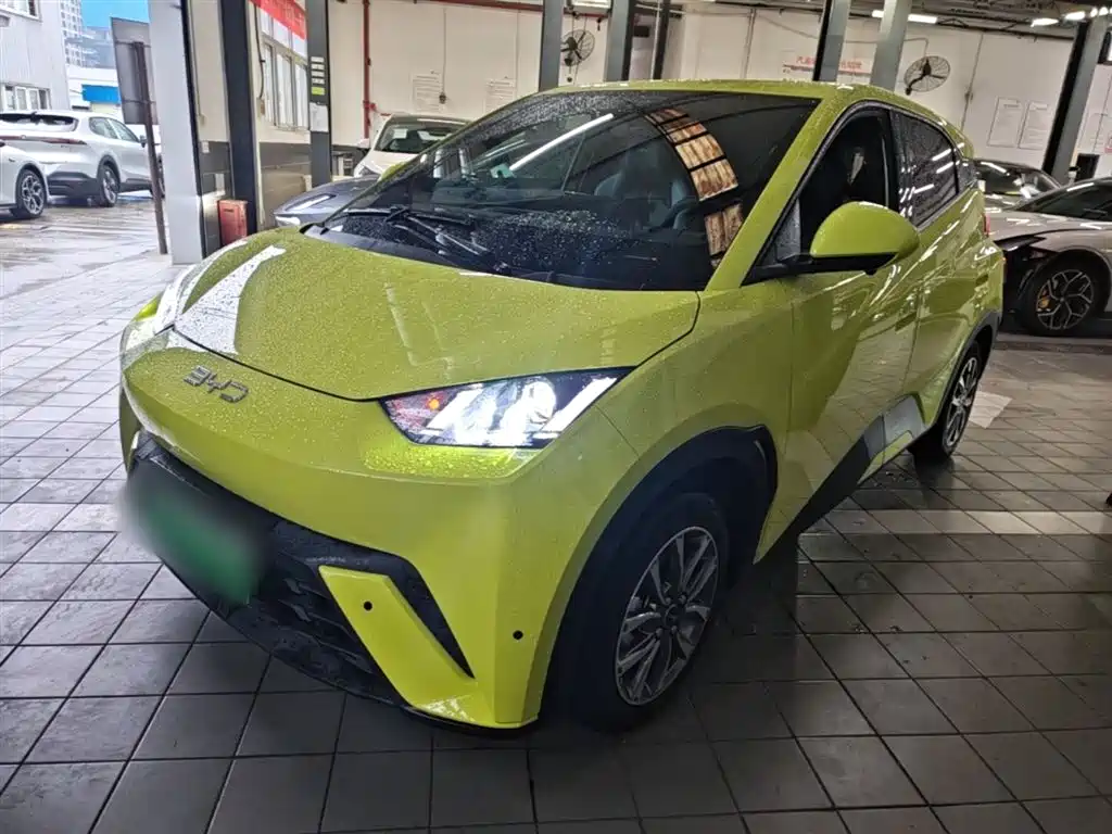 BYD Seagull 2024