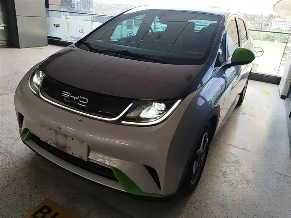 BYD Dolphin 2022