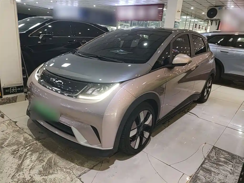 BYD Dolphin 2022
