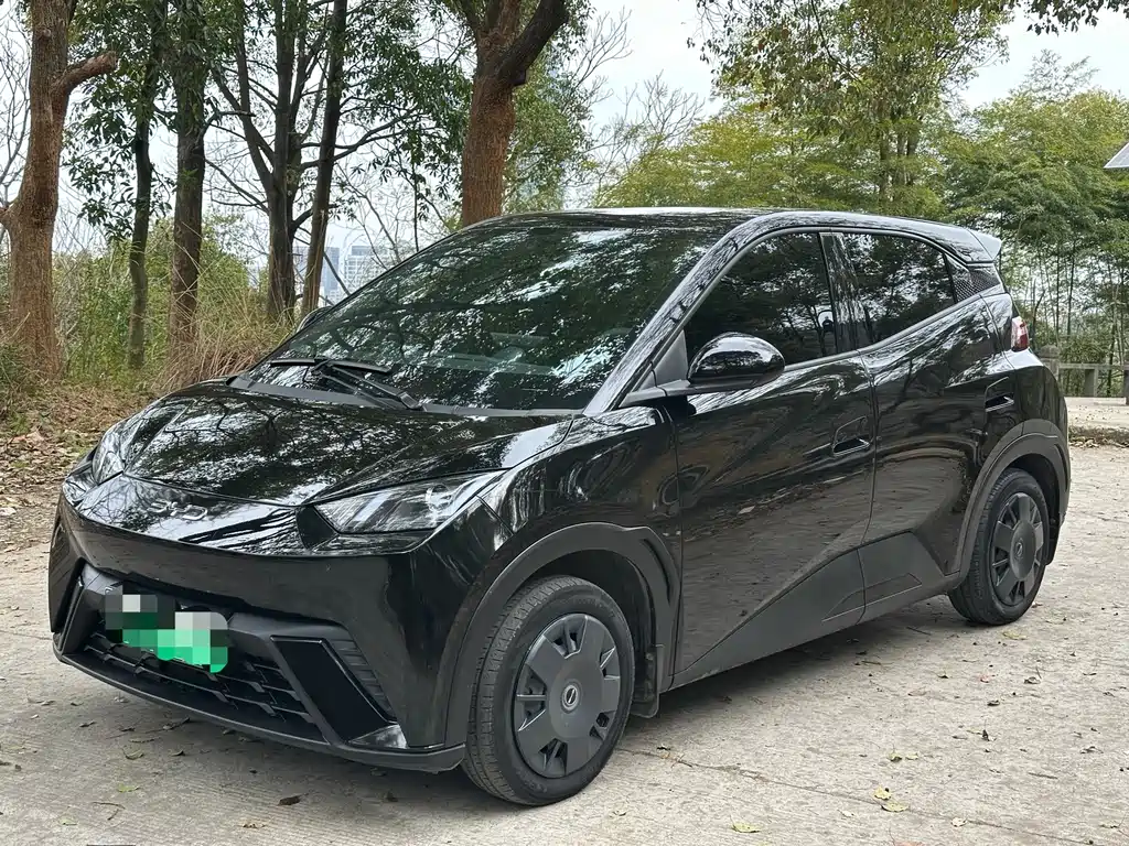 BYD Seagull 2024