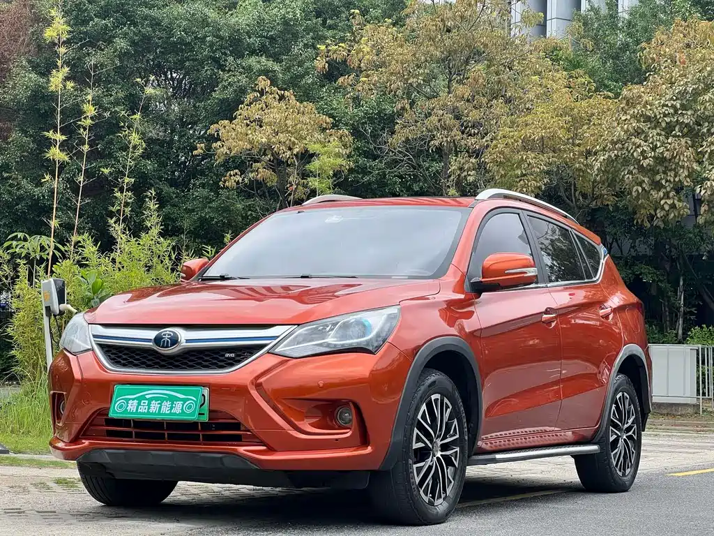 BYD New Energy 2017